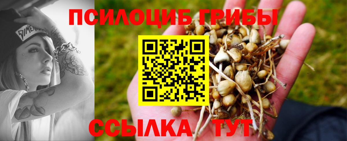 Псилоцибиновые грибы MAGIC MUSHROOMS  как найти   Воркута  Вход с VPN 